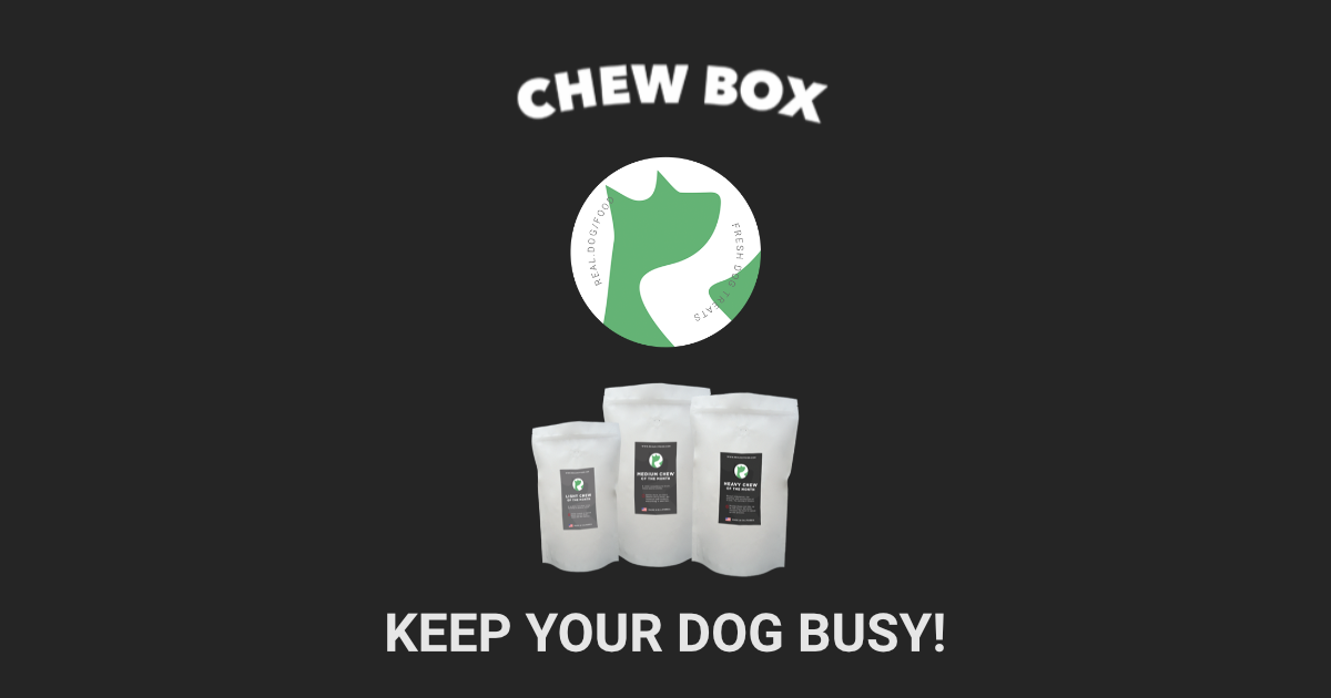 Real Dog Chew Box