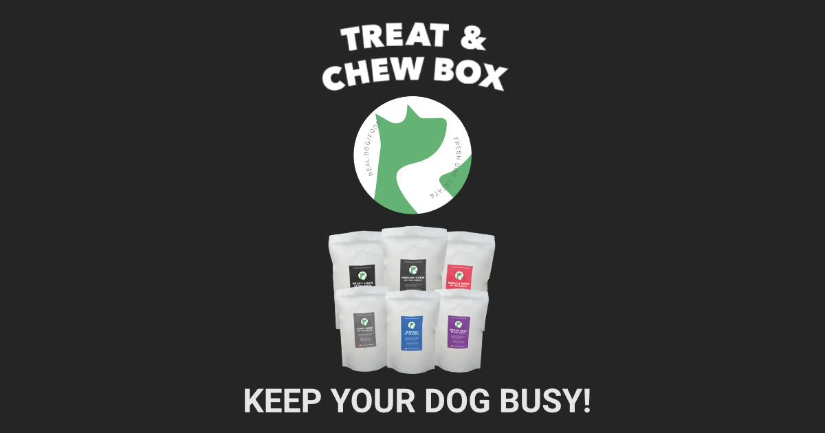 Real Dog Treat and Chew Box